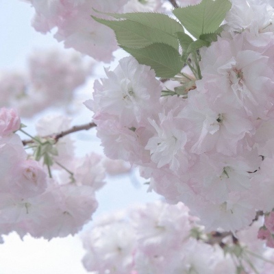 兽设故事创作思路Furry群